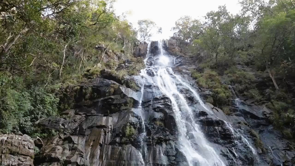 Pachmarhi Trip
